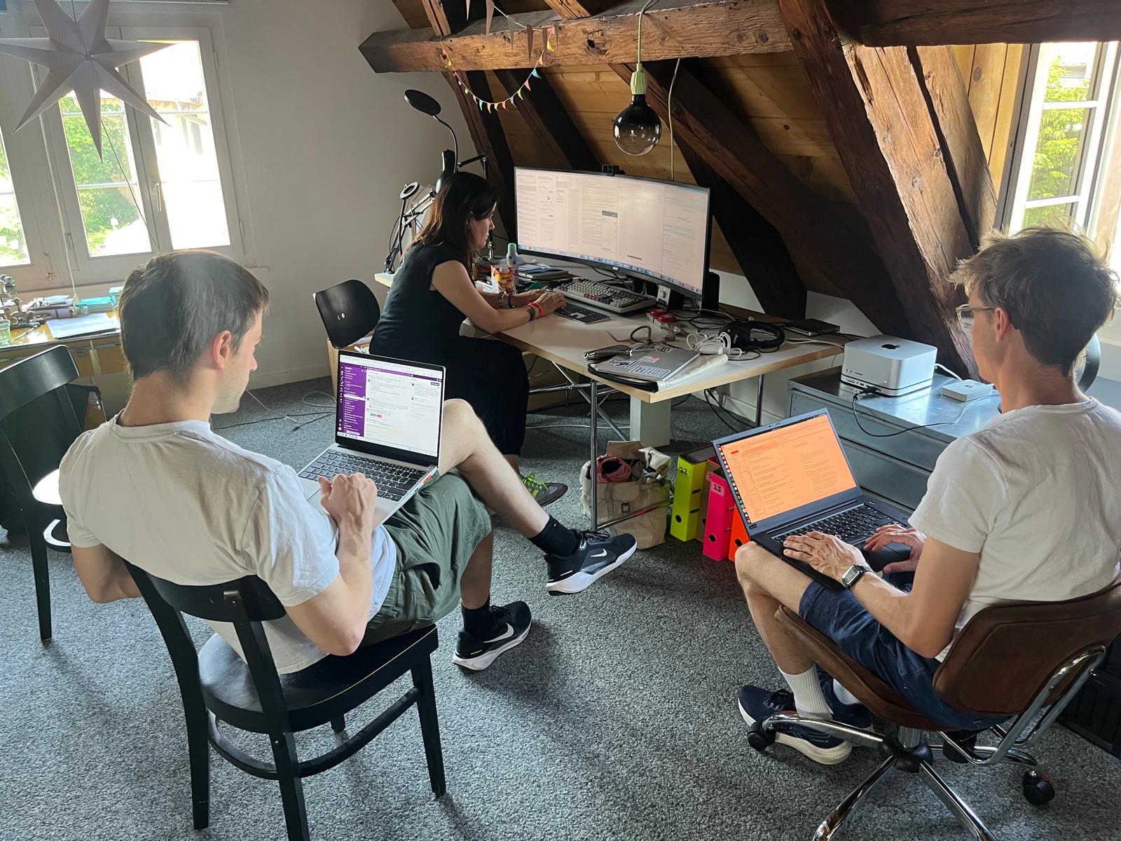 Wepublish Team Dorfkönig